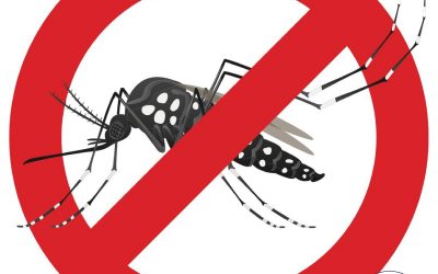 Síndico profissional no combate ao mosquito da dengue